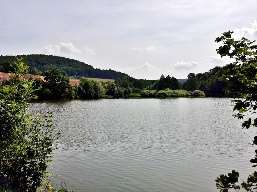 Pension Mlyn Stare Mitrovice Sedlec-Prcice Buitenkant foto