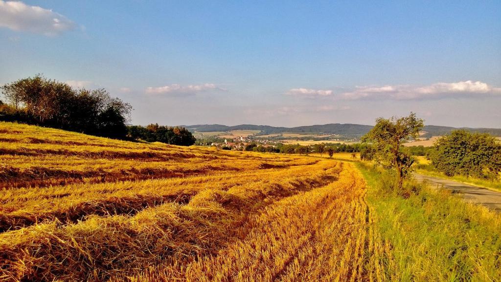 Pension Mlyn Stare Mitrovice Sedlec-Prcice Buitenkant foto