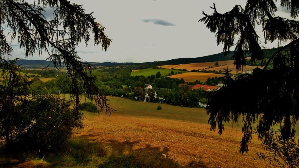 Pension Mlyn Stare Mitrovice Sedlec-Prcice Buitenkant foto